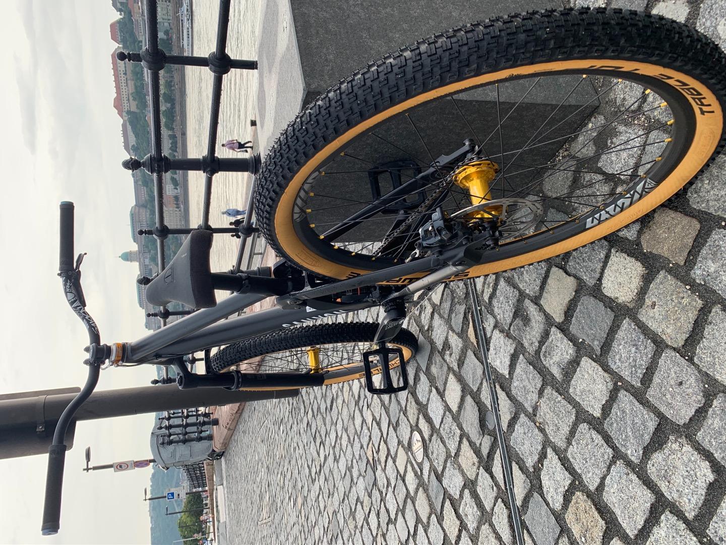 handmade carbon rim on Canyon bike